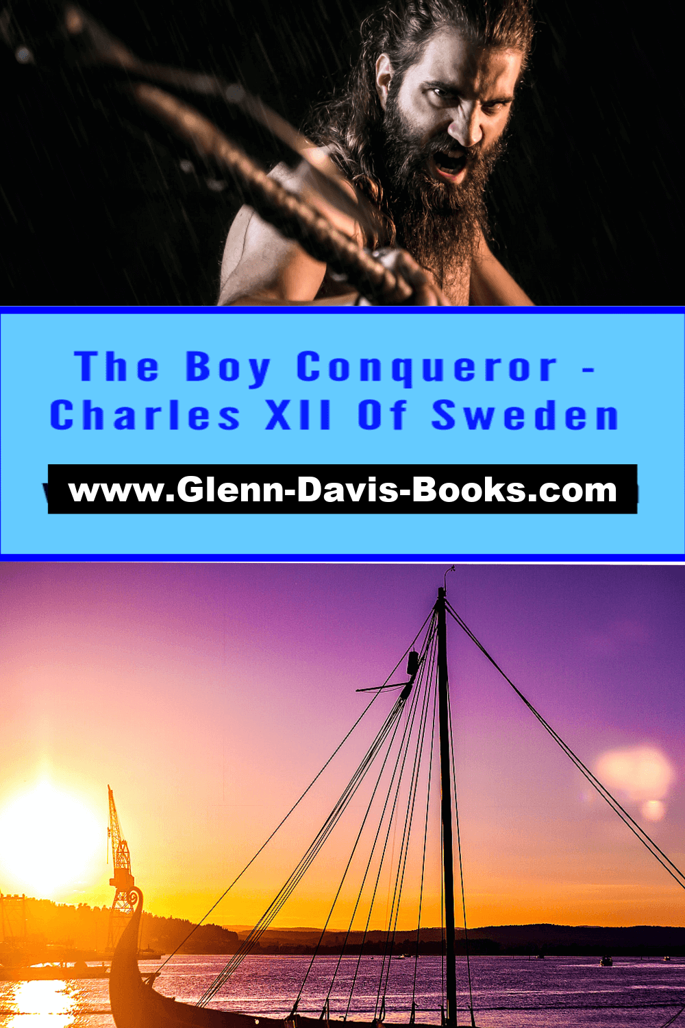 Picture of a Viking warrior and ship.