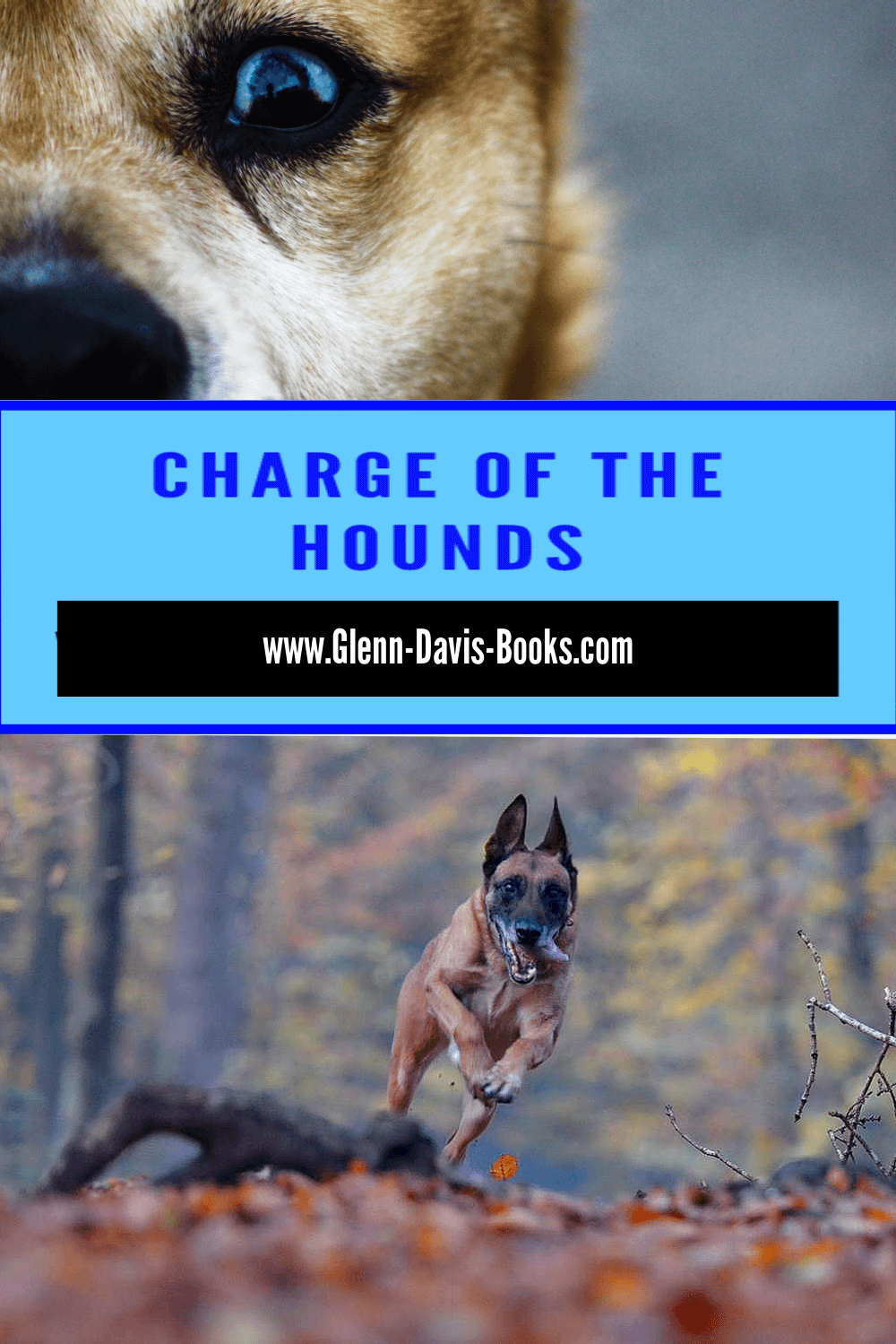 Dogs running in the charge of the hounds