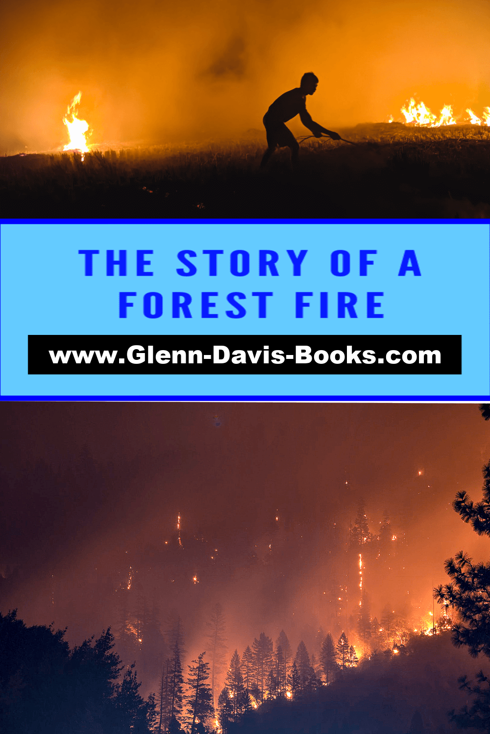 A forest fire.
