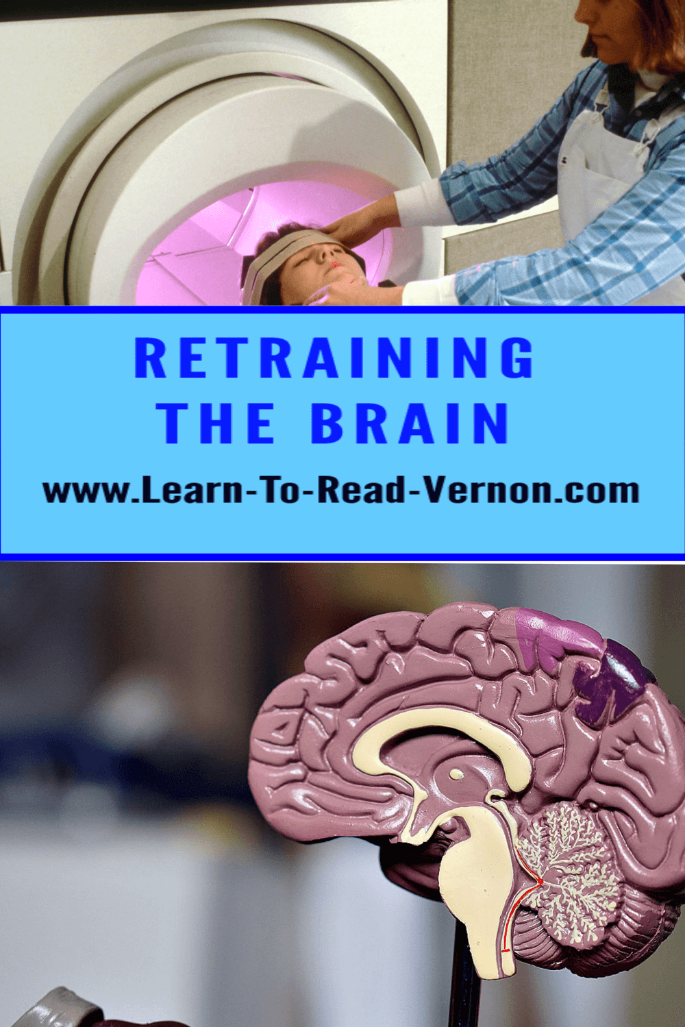 Retraining The Brain